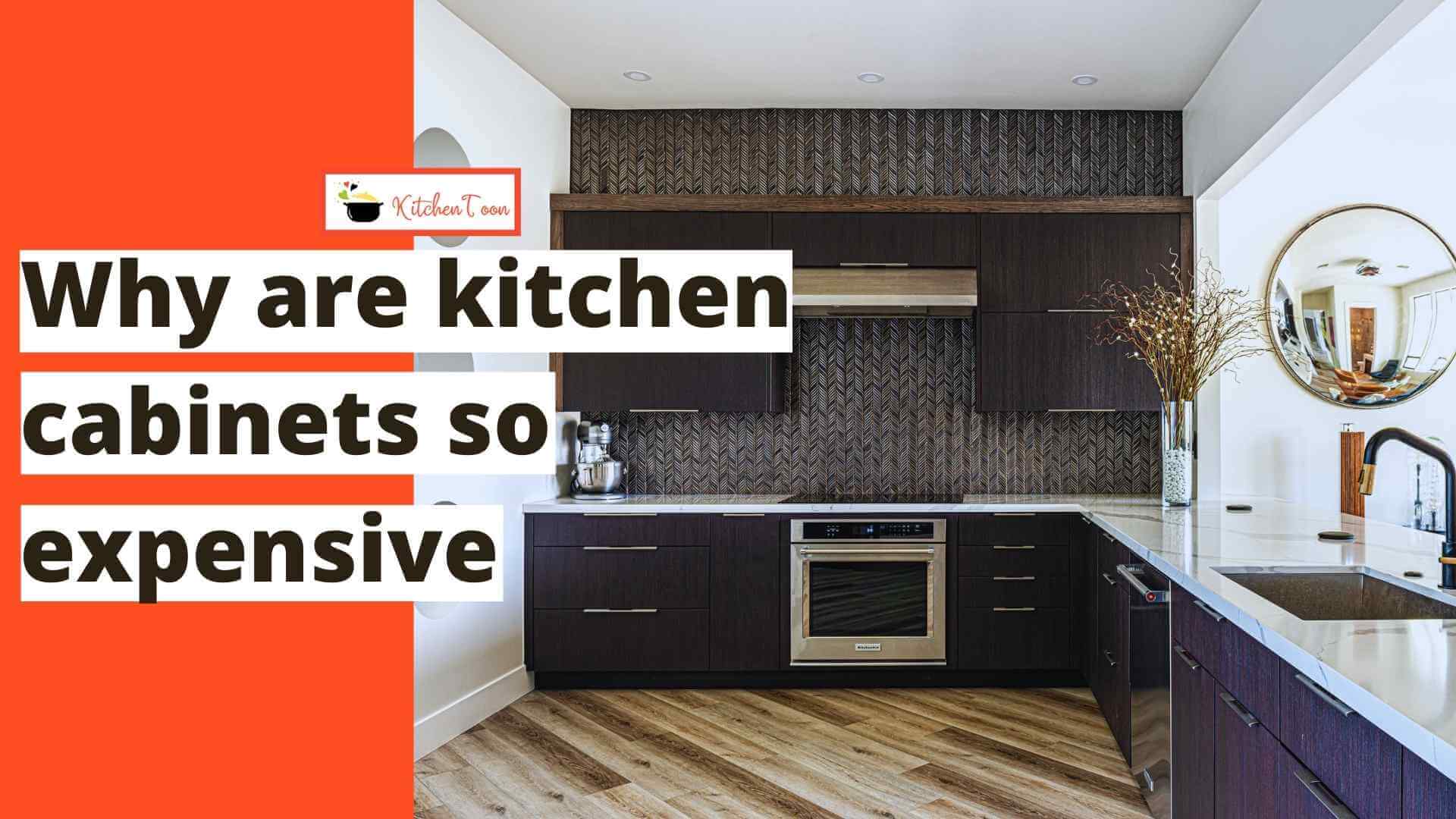 Why Are Kitchen Cabinets So Expensive, Why Cabinets So Expensive